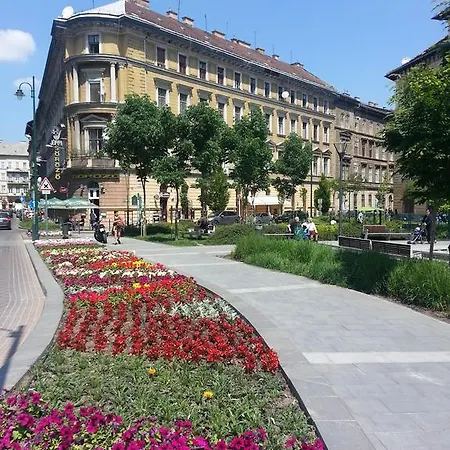 Apartment Green City Center